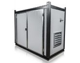 Дизельный генератор CTG 55SD в контейнере с АВР